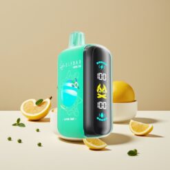 ELF BAR RAYA D3 25000 Puffs Disposable Vape Menthe Alpine - 23ml, 5%, 850mAh