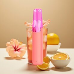 Snowplus Dash 4000 Puffs Jetable Device Thé Glacé à l'Hibiscus – 7,5 ml / 4000 bouffées / 530 mAh