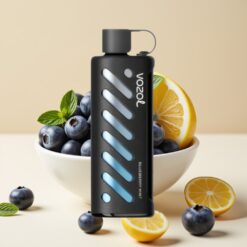VOZOL Gear Shisha 25000 Puffs - 30 Saveurs Délicieuses, Double Mesh, 1000mAh, 5mg/ml - Menthe Bleuet