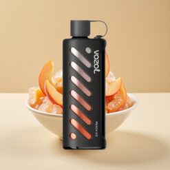 VOZOL Gear Shisha 25000 Puffs - 30 Saveurs Délicieuses, Double Mesh, 1000mAh, 5mg/ml - Pêche Glacée