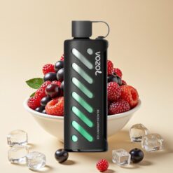 VOZOL Gear Shisha 25000 Puffs - 30 Saveurs Délicieuses, Double Mesh, 1000mAh, Cassis Glacé
