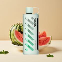 VOZOL Gear Shisha 25000 Puffs - 30 Saveurs Délicieuses, Double Mesh, 1000mAh, Pastèque Menthe