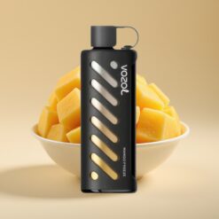 VOZOL Gear Shisha 25000 Puffs - Mangue Glacée, 30 Saveurs, 1000mAh, 5mg/ml
