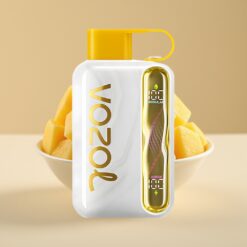 VOZOL STAR 40000 Jetable Vape Glace Mangue – 1000mAh, 20/50mg/ml, Jusqu'à 40000 Puffs, Port Type-C