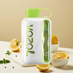 VOZOL STAR 40000 Jetable Vape Menthe Fraîche – 1000mAh, 20/50mg/ml, Jusqu'à 40000 Puffs, Type-C