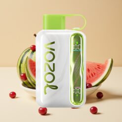 VOZOL STAR 40000 Jetable Vape Pastèque Raisin Baie de Mûre - 1000mAh, 20/50mg/ml, 40000 Puffs, Type-C