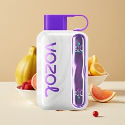 VOZOL STAR 40000 Puffs Jetable Vape Cherimoya Pamplemousse Baies – 1000mAh, 20/50mg/ml, Type-C