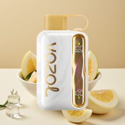 VOZOL STAR 40000 Puffs Vape Jetable Melon Glacé - 1000mAh, 20/50mg/ml, Type-C