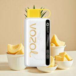 VOZOL STAR 9000/12000 Vape Jetable - Ananas Noix de Coco Glacé, Charge Rapide 30%, 650mAh, Recyclé