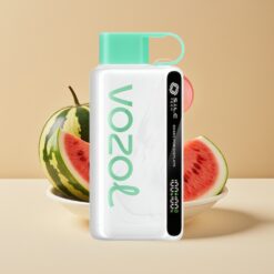 VOZOL STAR 9000/12000 Vape Jetable - Bubble Gum Pastèque, Charge Rapide 30%, 650mAh, Recyclé