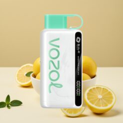 VOZOL STAR 9000/12000 Vape Jetable - Citron Menthe, Affichage par Secouement, Technologie S.i.L.C, Charge Rapide 30%, 650mAh