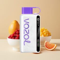 VOZOL STAR 9000/12000 Vape Jetable - Cranberry Mangue Pamplemousse, Charge Rapide 30%, 650mAh, Recyclé