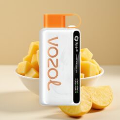 VOZOL STAR 9000/12000 Vape Jetable - Mangue Glacée Mexicaine, Recyclé, 650mAh, Charge Rapide 30%
