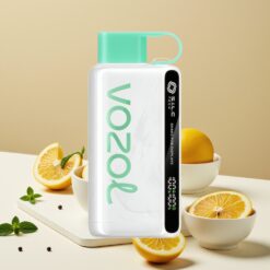 VOZOL STAR 9000/12000 Vape Jetable Menthe Fraîche – Recyclé, 650mAh, Charge Rapide, S.i.L.C TECH