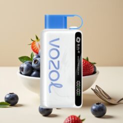 VOZOL STAR 9000/12000 Vape Jetable - Orage de Myrtille, Recyclé, Charge Rapide 30%, 650mAh