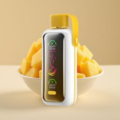 VOZOL Star 20000 Puffs - Écran HD miroir 2,2", Double Mesh, 650mAh, Mangue Glacée
