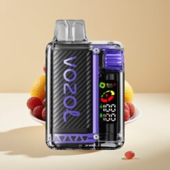 VOZOL Vista 20000 Puffs - Batterie Rechargeable 650mAh, Résistance 2%, Écran OLED, 6 Niveaux de Puissance - Glace Raisin